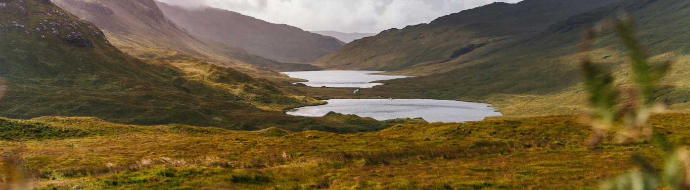 Cruise IJsland bij Stip Reizen